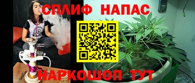 СК Канаш