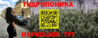 СК Канаш