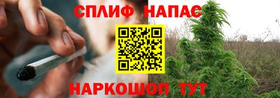 гашик Кандалакша